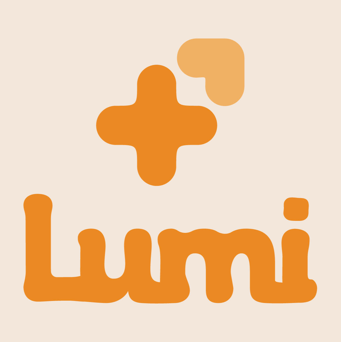 Lumi Project